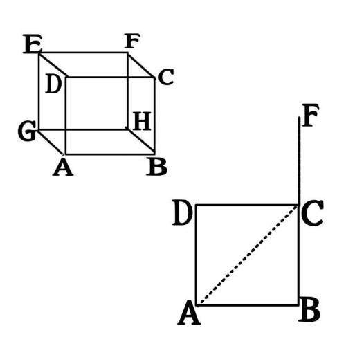 The surface distance between 2 points on the surface of a cube is the length of the shortest path on