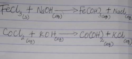 During lab, you measured the heat of reaction by mixing solutions of FeCl3 and NaOH.  (a) Write the
