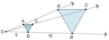 The perimeter of δabc is 13 cm. it was dilated to create δa'b'c'. what is the perimeter of δa'b'c'?
