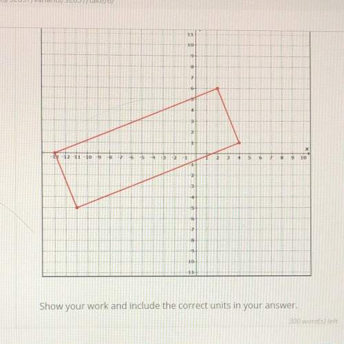 Calculate the perimeter of the rectangle