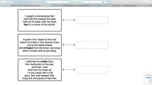 Drag each tile to the correct box. based on the context of each excerpt from "the fish" by eli