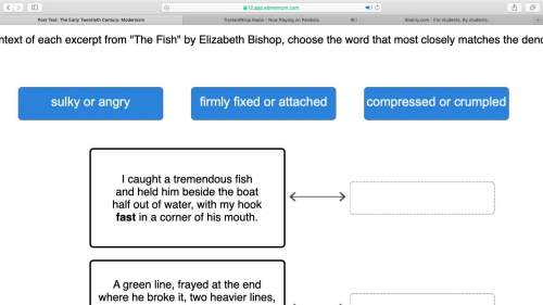 Drag each tile to the correct box. based on the context of each excerpt from "the fish" by eli
