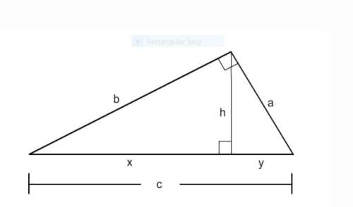 Refer to the figure to complete the proportion b/x=? /boptions: y, a, h, c,  you