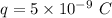 q=5\times 10^{-9}\ C