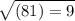 \sqrt{\left(81\right)=9