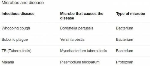Name at least two of the microorganisms knownto cause disease