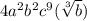 4a^{2}b^{2}c^{9}(\sqrt[3]b)
