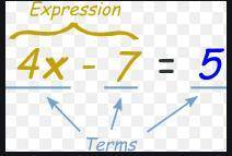 Which of these are NOT expressions? x 1=z x=1 1 x+z