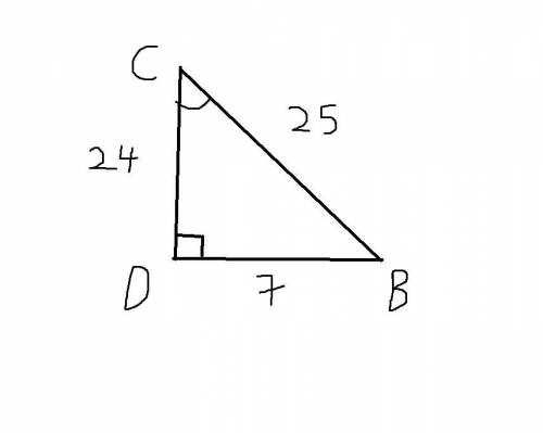 In ΔBCD, the measure of ∠D=90°, CB = 25, BD = 7, and DC = 24. What is the value of the sine of ∠C to