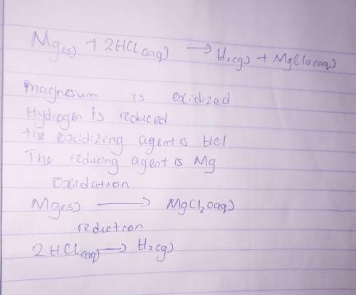 In the reaction Mg (s) + 2HCl (aq) → H2 (g) + MgCl2 (aq) , what is the species oxidized, species red