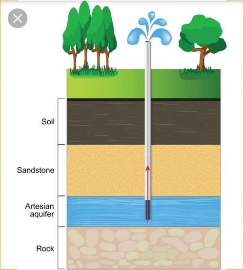 Aquifers are a located below the water table b. important sources of freshwater c. located in the sa