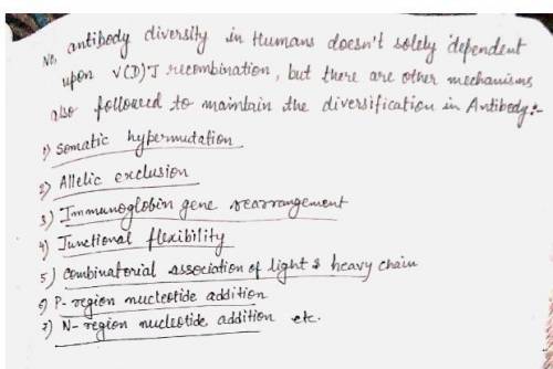 Can antibody diversity in humans be explained solely by V(D)J recombination? Why or why not?Several