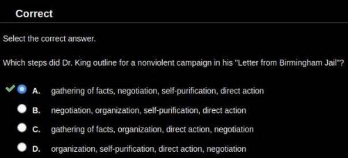Which steps did Martin Luther king he outline for a nonviolent campaign in his letter from Birmingha