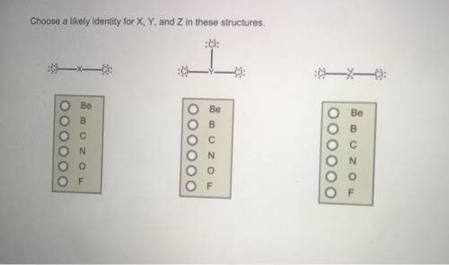 Choose a likely identity for X, Y, and Z in these structures. A central X atom is bonded to two chlo