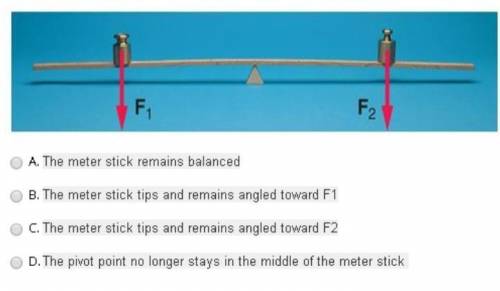 Two identical masses are placed on a meter stick that can support the masses as shown below. What wo