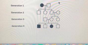 Consider the pedigree below. The circles represent females and the boxes, males. White color indicat