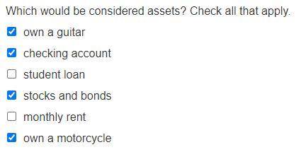 Which would be considered assets? Check all that apply. own a guitar checking account student loan s