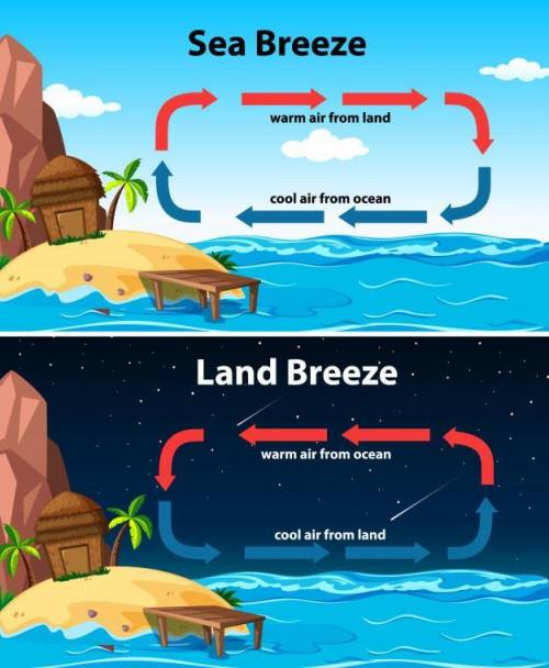 What is shown in the diagram below? A. Sun breeze B. sea breeze C. land breeze D. water breeze