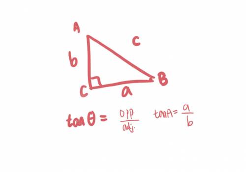 WORTH 100 POINTS!! Based on the diagram, what is tanA ? Right triangle A B C. Angle A C B measures 9