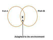 I NEED THIS ASAP Zeke makes a Venn diagram to compare Fish A, which lives at the bottom of the open