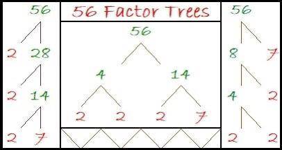 Select a composite number to break into factors. Continue factoring until all factors are prime. 56