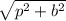 \sqrt{p{ }^{2} + b {}^{2}   }