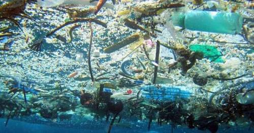What is the great pacific garbage patch