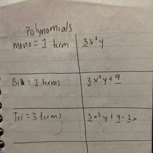 What kind of Polynomial is this?  8b A. Binomial B. Monomial C. Trinomial What kind of polynomial is