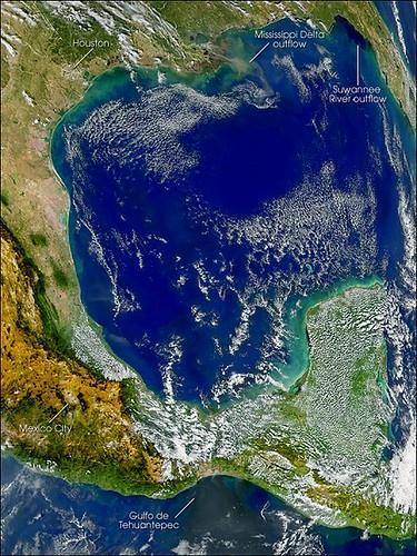 The Gulf Stream is a surface current in the Atlantic Ocean that flows northward from the Caribbean S