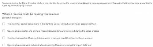 You are reviewing the Client Overview tab for a new client to determine the scope of a bookkeeping c
