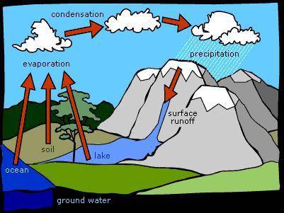 Durante qué etapa del ciclo del agua podria el agua regresar a la Tierra como un liquido?​