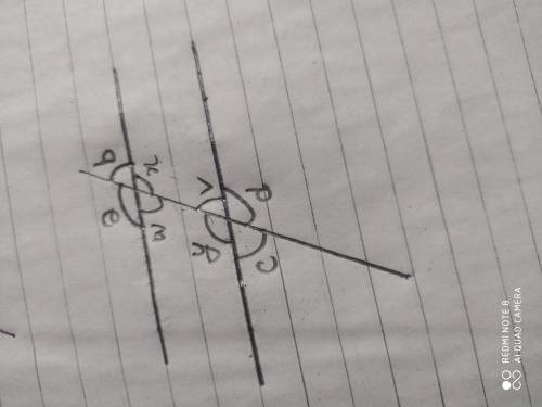 HELP PLZ WILL GIVE 40 POINTS Explain the angles formed when two parallel lines cut by a transversal