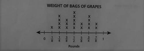 The line plot shows the number of bags of grapes,grouped by weight, to the nearest 1/8 pound. How ma