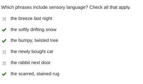 Which phrases include sensory language