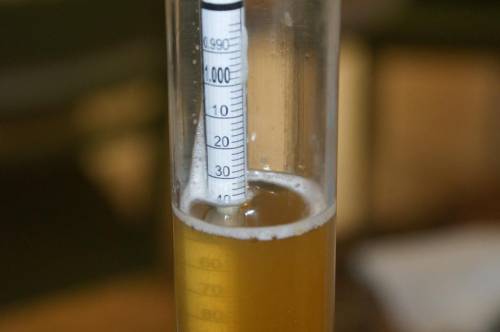 Describe how the relative density of a salt solution can be determined using the hydrometer