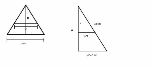 Tienes un triángulo equilátero con lados de 10cm, lo divides en dos partes de manera horizontal tal