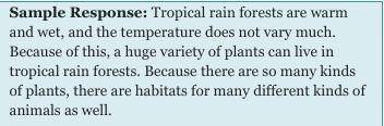 Why tropical rain forests contain a large variety of plants and animals.
