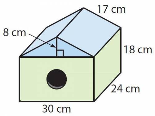 Find the SURFACE AREA of this composite solid.