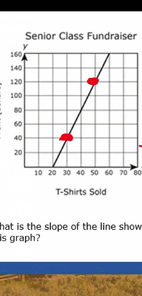 4

1 The senior class is selling T-shirts for a fundraiser. The graph below shows the profit, in
dol