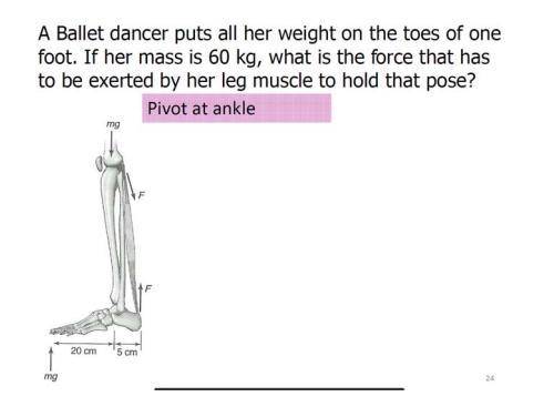 toes. A Ballet dancer puts all her weight on the toes of one foot. If her mass is 60 kg, what is the