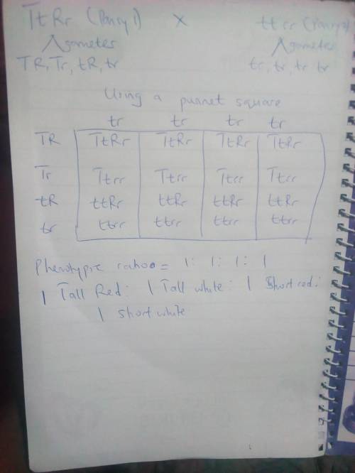 3. Pansies can grow to be tall (T), which is dominant, or short (t), which is recessive. They can al