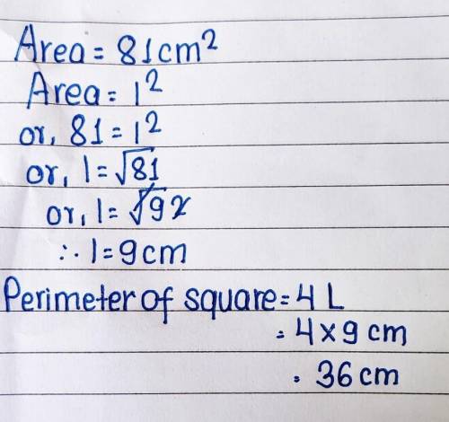 The area of a square is 81cm2.Find the length and perimeter.