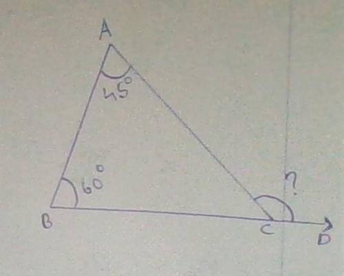 Draw scalene triangle ABC and extend side BC to the right of vertex C.

1. If angle A measures 45 de
