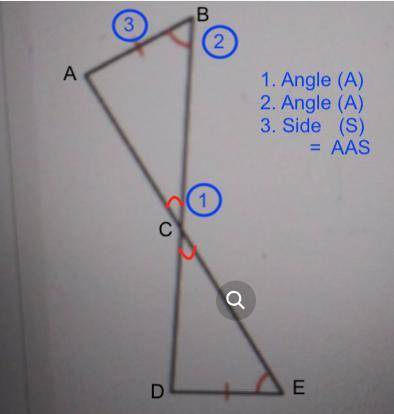 State with triangle congruence postulate explain that the triangles are congruent