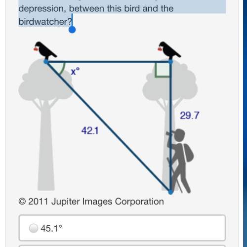 Two birds sit at the top of two different trees. the distance between the first bird and a birdwatch