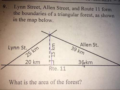 Lynn street, allen street, and route 11 form the boundaries of a triangular forest, as shown in the