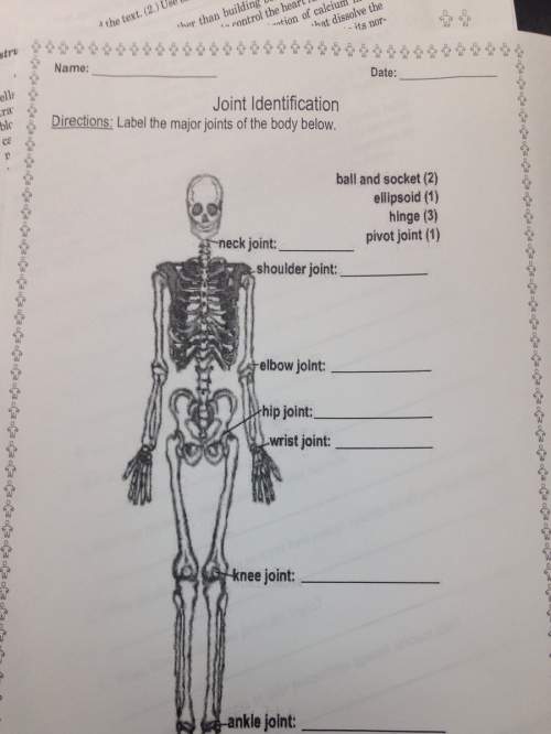 Label the major joints of the body below