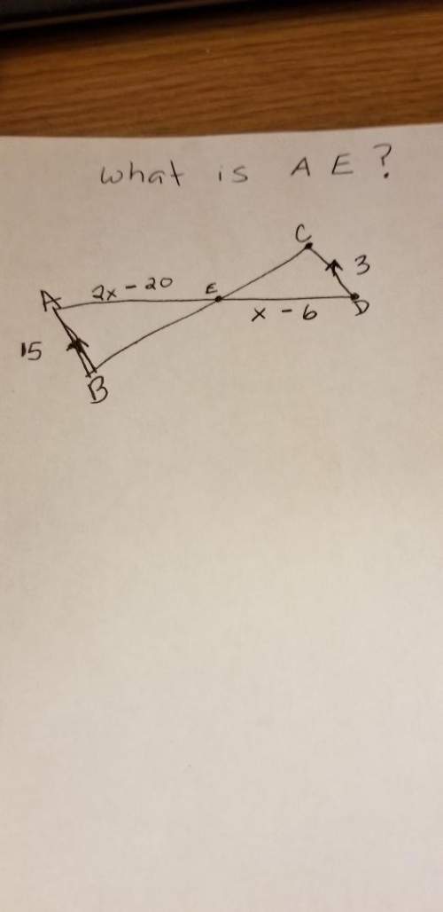 Imade up this question explain this to me in detail explanation i am trying to understand triangle