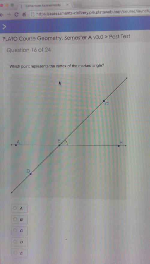 Which point represents the vertex of the marked angle.