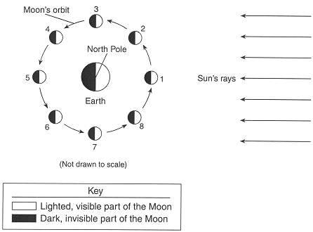 Moon questions? (diagram attached)1. approximately how many nights during the month wou
